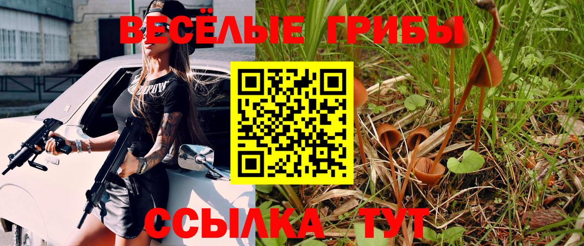 Галлюциногенные грибы MAGIC MUSHROOMS  Вход с VPN  Озёры 